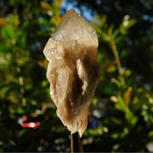 Natural Smokey Luena Cascading
Phantom Quartz